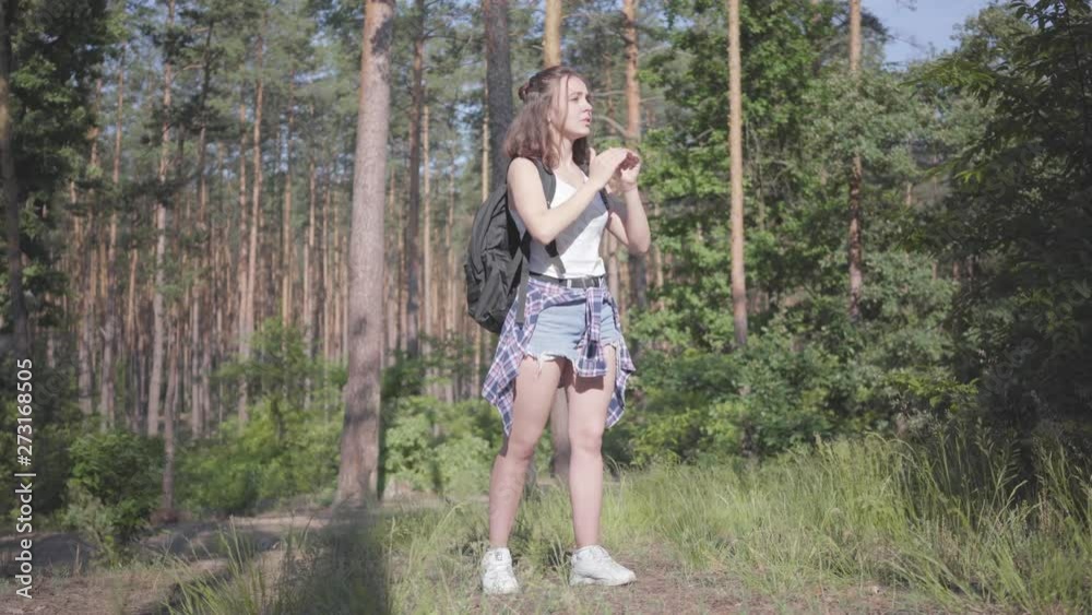 Portrait pretty young woman gets lost in the forest, she calling for the help. The girl despair, she is alone in the woods. Journey to nature. Portrait pretty young woman gets lost in the forest, she calling for the help. The girl despair, she is alone in the woods. Journey to nature.