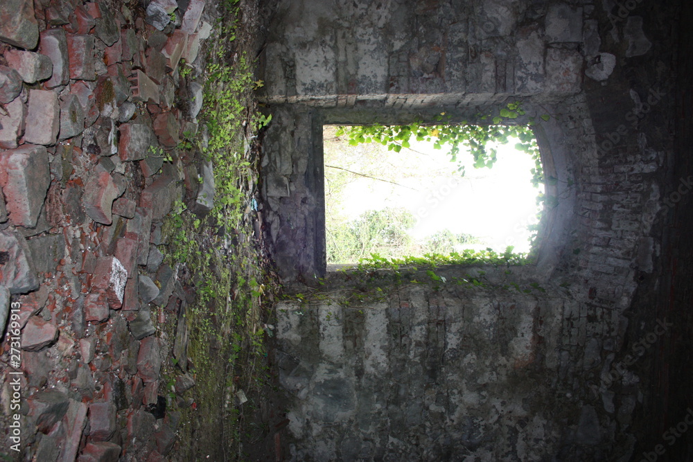 Fort Bastione, a nineteenth-century military fortress, abandoned to the neglect of nature. distressing stone construction inside and out. wild nature covers the whole castle Fort Bastione, a nineteenth-century military fortress, abandoned to the neglect of nature. distressing stone construction inside and out. wild nature covers the whole castle