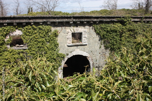 Fort Bastione, a nineteenth-century military fortress, abandoned to the neglect of nature. distressing stone construction inside and out. wild nature covers the whole castle