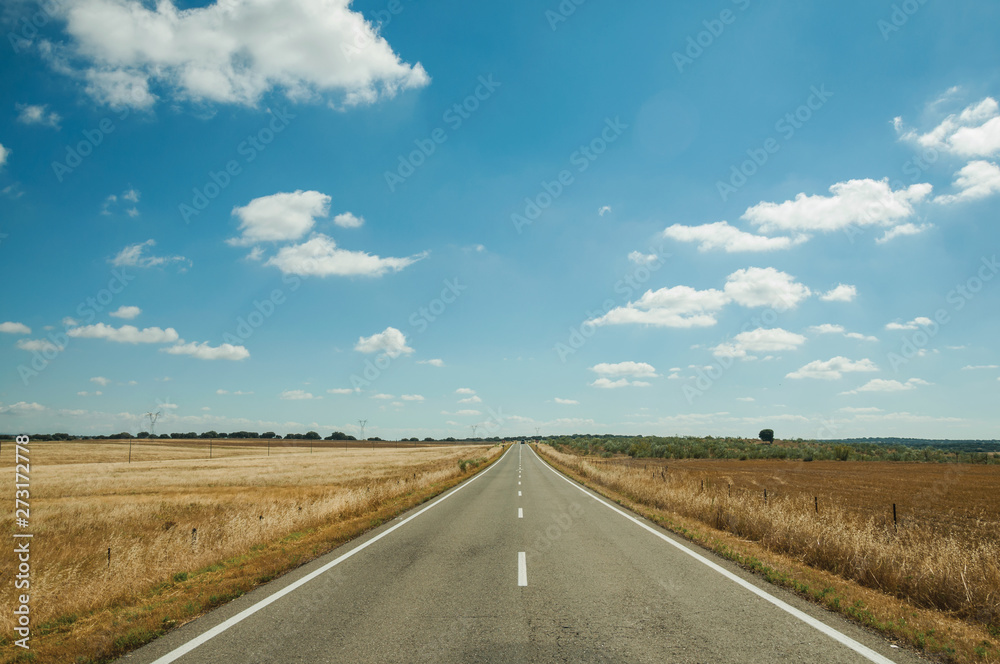 Straight road through rural landscape near the Monfrague National Park