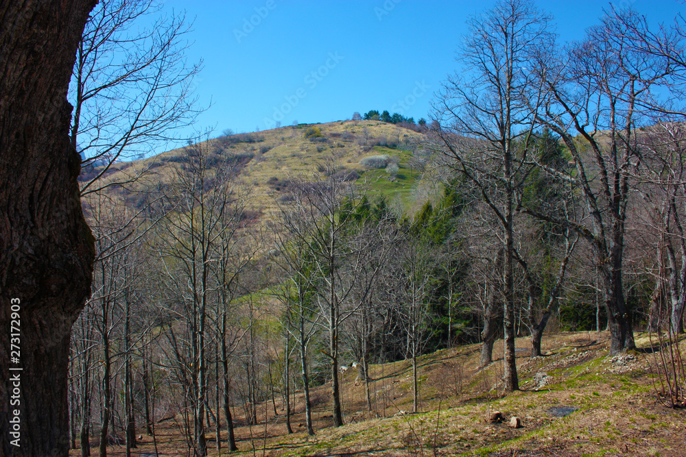 spring panorama of Careggine, dry soil and bare trees. the land is dry and the bush displaced also in Tuscany due to the drought