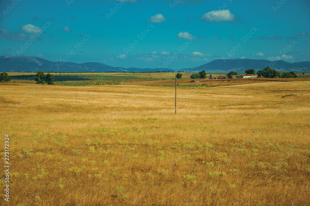 Rural landscape with cultivated fields near the Monfrague National Park