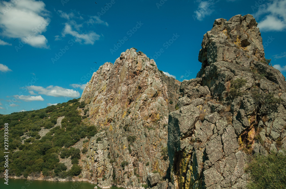 Valley with cliffs and the Tagus River at the Monfrague National Park