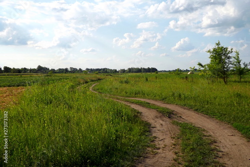 road in the field