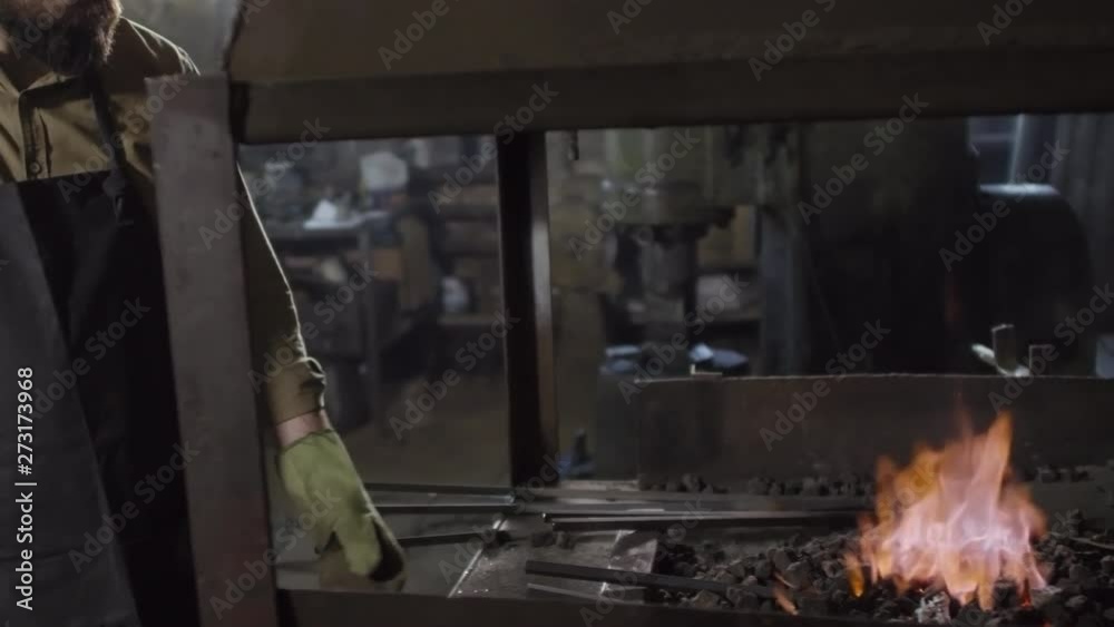 Professional Caucasian bearded blacksmith in safety apron and gloves standing at furnace and checking candent metal ingots lying in burning coals Professional Caucasian bearded blacksmith in safety apron and gloves standing at furnace and checking candent metal ingots lying in burning coals