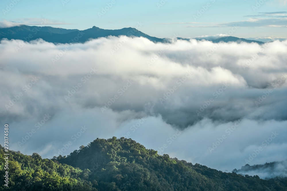 Northern Thailand mountain landscape with sea of clouds in the valley. Green forest touched by morning light in the foreground.
