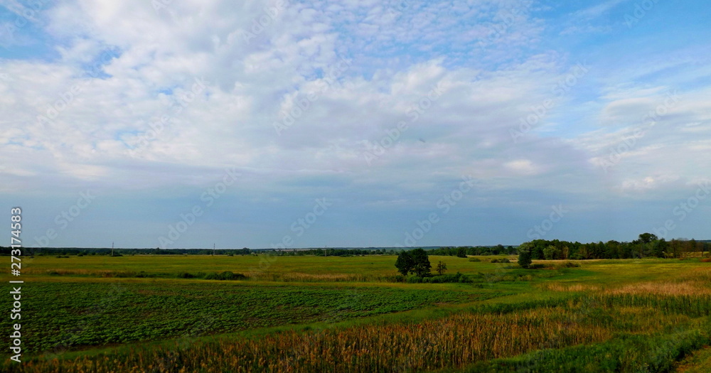 landscape with wheat field and blue sky landscape with wheat field and blue sky