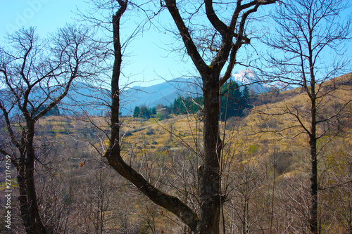 spring panorama of Careggine, dry soil and bare trees. the land is dry and the bush displaced also in Tuscany due to the drought photo