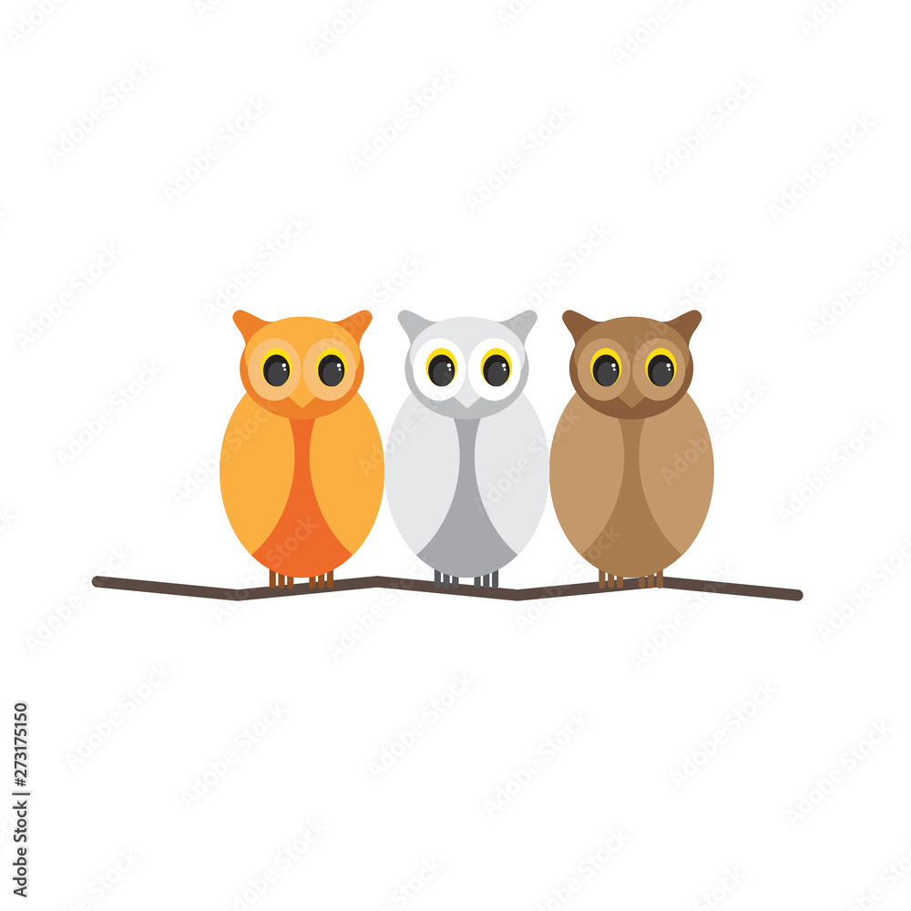 Fototapeta premium Colorful owl vector illustration