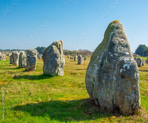 Carnac Megaliths photo