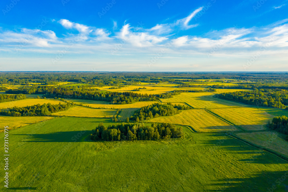 Top aerial view of green fields and meadows in summer. Abstract landscape with lines of fields, grass, trees, sunny sky and lush foliage. Landscape with drone.