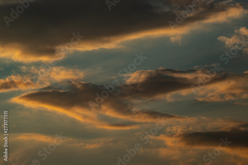 Xiphophorus helleri cloud. Amazing Xiphophorus helleri cloud. Unbelievable Xiphophorus helleri