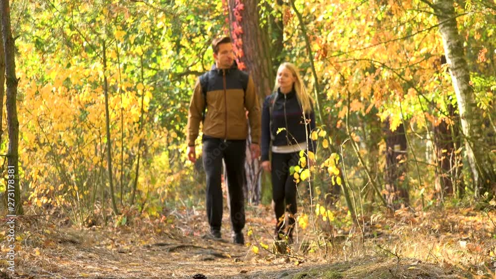 A hiking couple walks down a path through a forest on a sunny day - front view A hiking couple walks down a path through a forest on a sunny day - front view