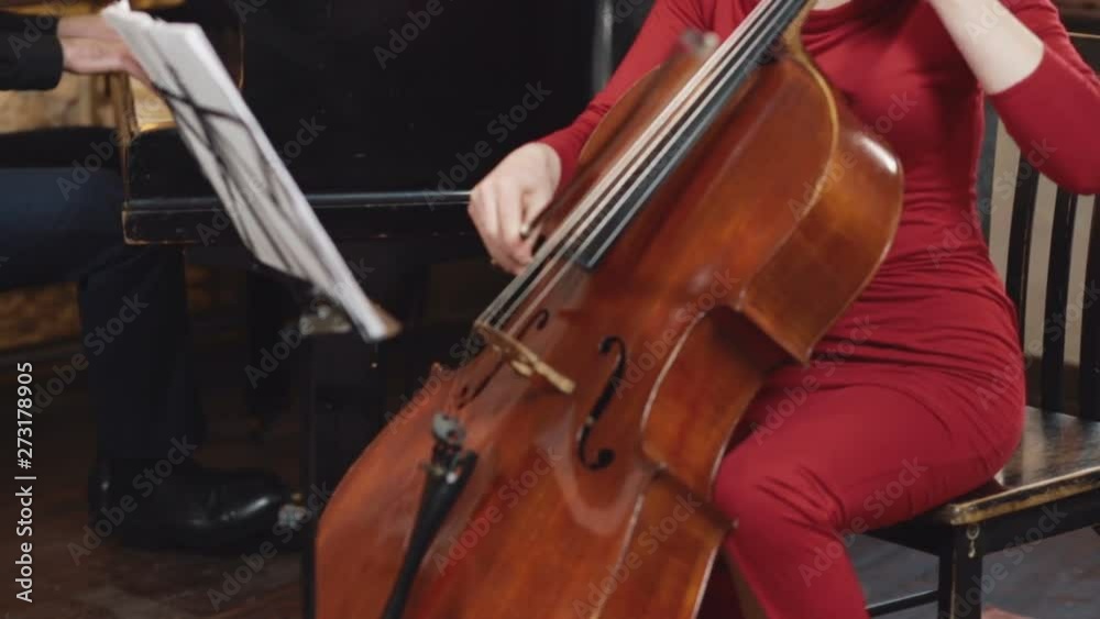 Cello player. Cellist hands playing cello with bow. Cello player. Cellist hands playing cello with bow.