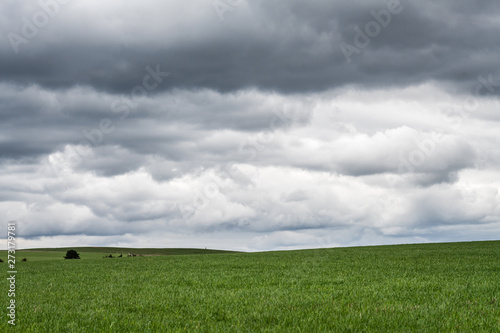 nuage gris photo