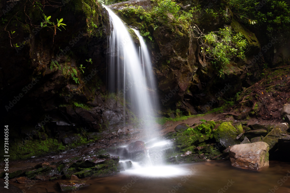 Grotto Falls in Smoky Mountain National Park Grotto Falls in Smoky Mountain National Park