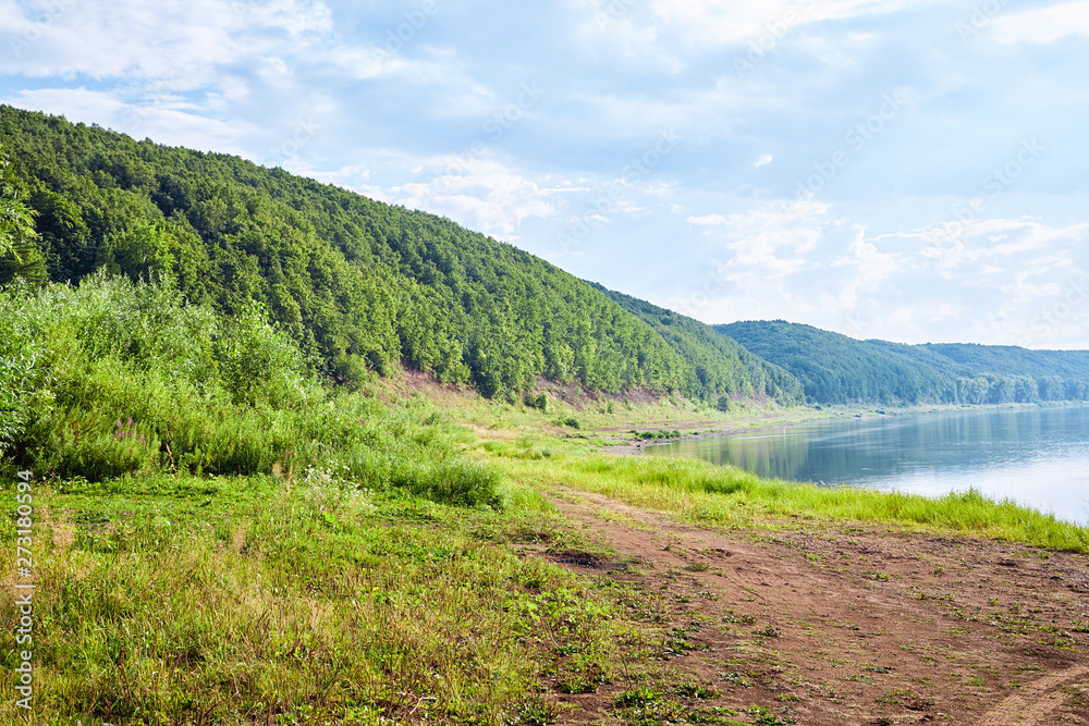 Fototapeta premium Beautiful summer landscape in Bashkiria. Bank of the White River surrounded by View of the White River from the shore, surrounded by forests on a sunny day with a cloudy sky