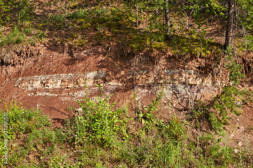 Naturally formed soil cut in the forest. The soil is dominated by clay. Soils of Russia.