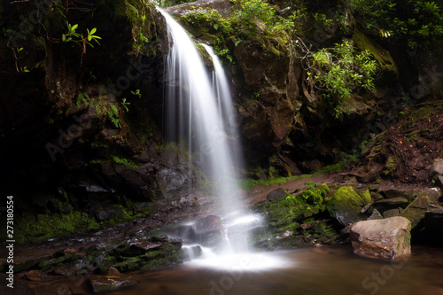 Fototapeta Naklejka Na Ścianę i Meble -  Grotto Falls in Smoky Mountain National Park