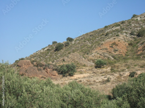 Paisaje en tierras de secano con encinas (Quercus Ilex) y olivos (Olea Europaea)