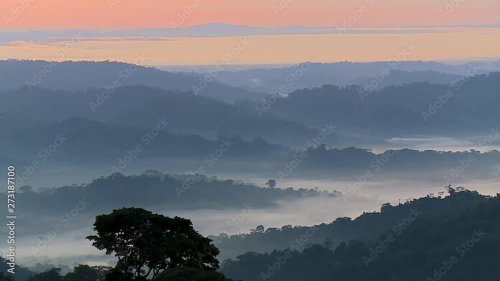 Handheld, tilting up, extreme wide shot of forest hills in mist and fog, camera tilts up to reveal sunrise and mountains. Handheld, tilting up, extreme wide shot of forest hills in mist and fog, camera tilts up to reveal sunrise and mountains.