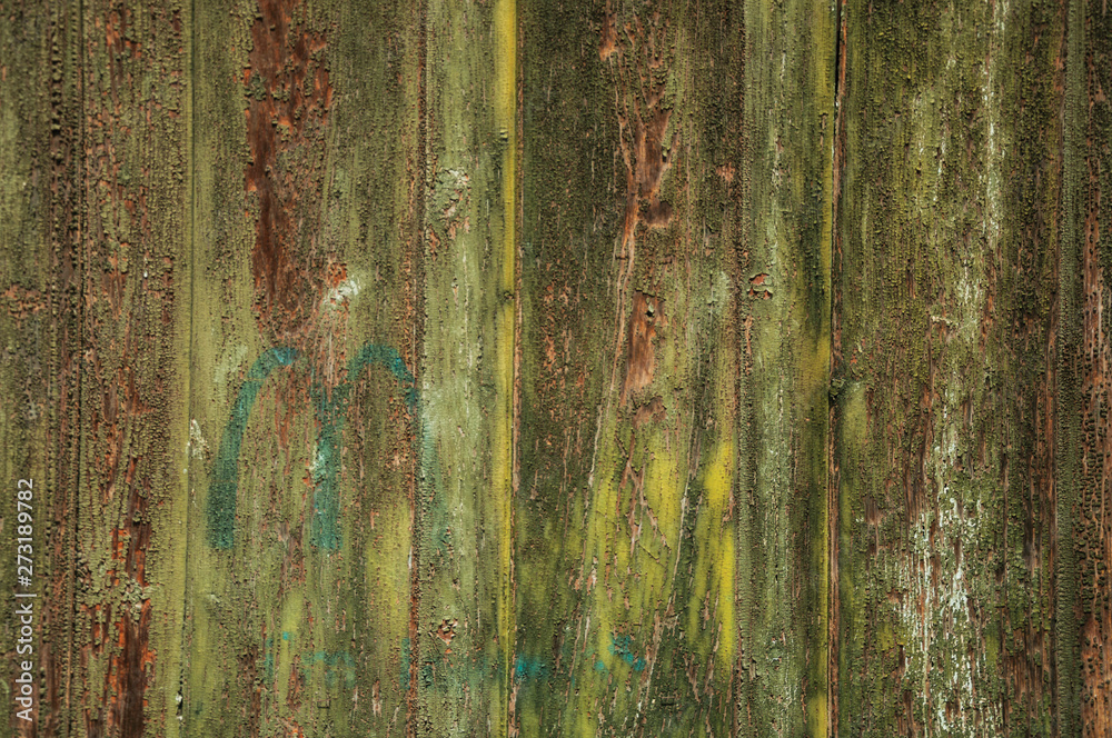 Worn planks of wood in an old door Worn planks of wood in an old door