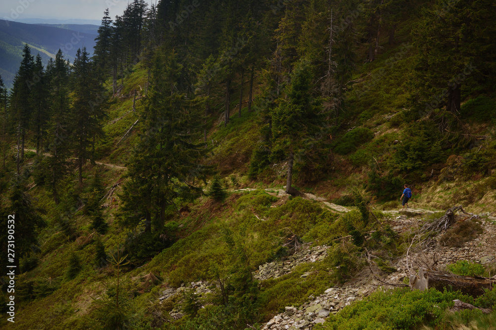 the place in the Giant Mountains/Krkonose called Koze Hrbety in the Czech republic