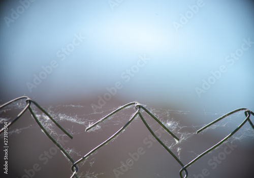 iron mesh with spider web on sky background