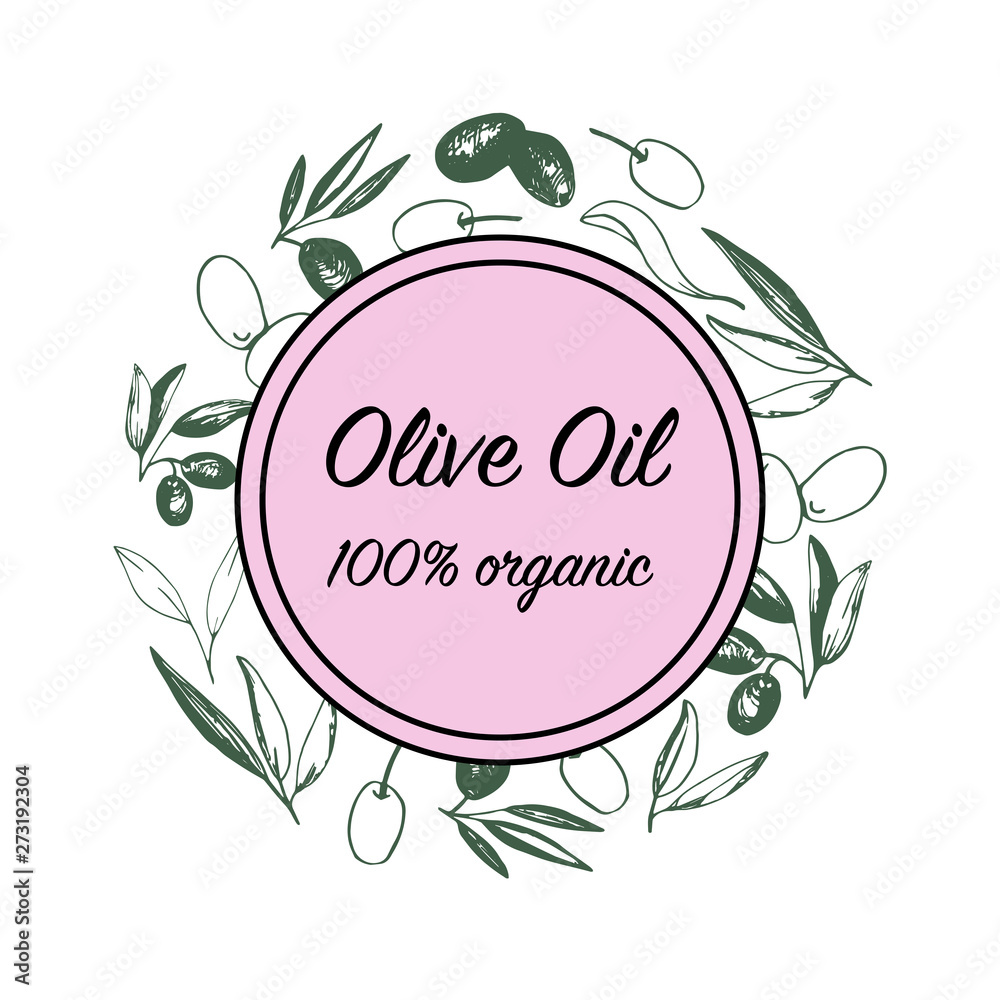 Olives arrangements with olive branches and fruits for Italian cuisine design or extra virgin oil food or cosmetic product packaging wrapper. Hand drawn Illustration in vector.