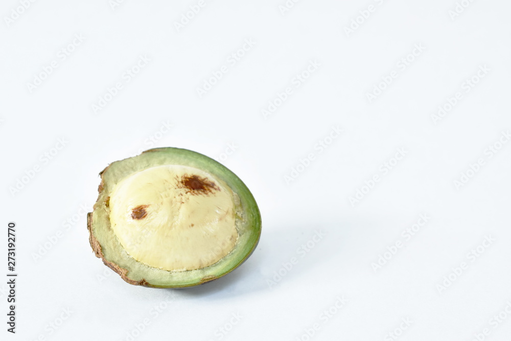 Prevail stout Won Djenkol bean or luk nieng fruit tropical plant on white background Stock  Photo | Adobe Stock