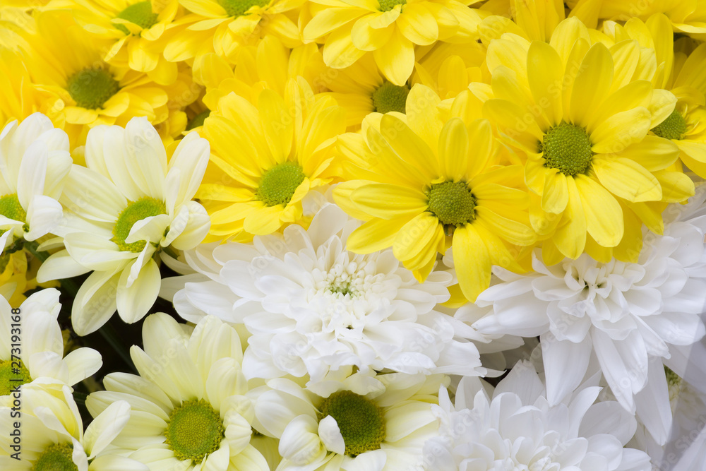 spring big bouquet of yellow and white flowers spring big bouquet of yellow and white flowers