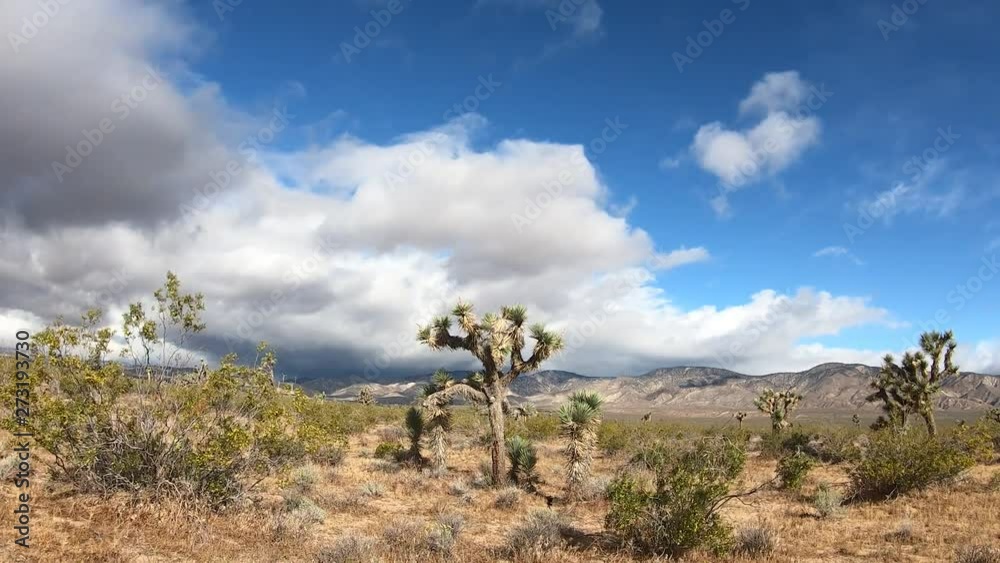Slider Time Lapse of Storm clouds over Joshua Trees in Mojave Desert Slider Time Lapse of Storm clouds over Joshua Trees in Mojave Desert