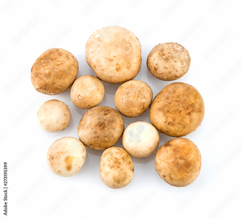 fresh astraeus isolated on white background top view fresh astraeus isolated on white background top view