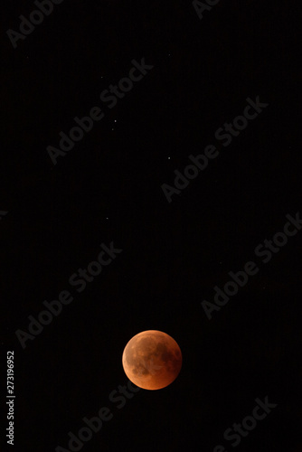 Lunar eclipse in the black night sky © TrEKone