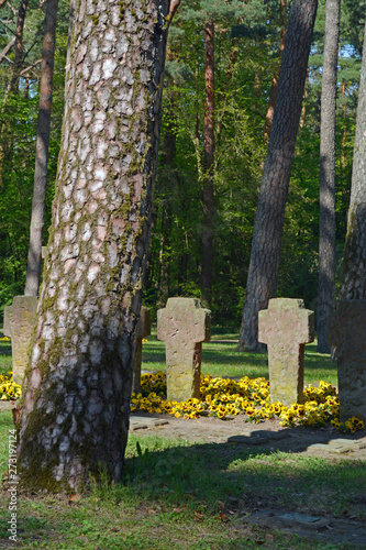 waldfriedhof mainz-mombach. soldatengräber photo