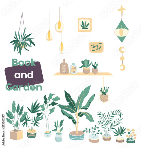 House plants. Flowerpot isolated objects, houseplant flower pot collection. Home garden clip art illustration. Colorful design. For banner, invete, sale shop, web icon. Hand drawn card