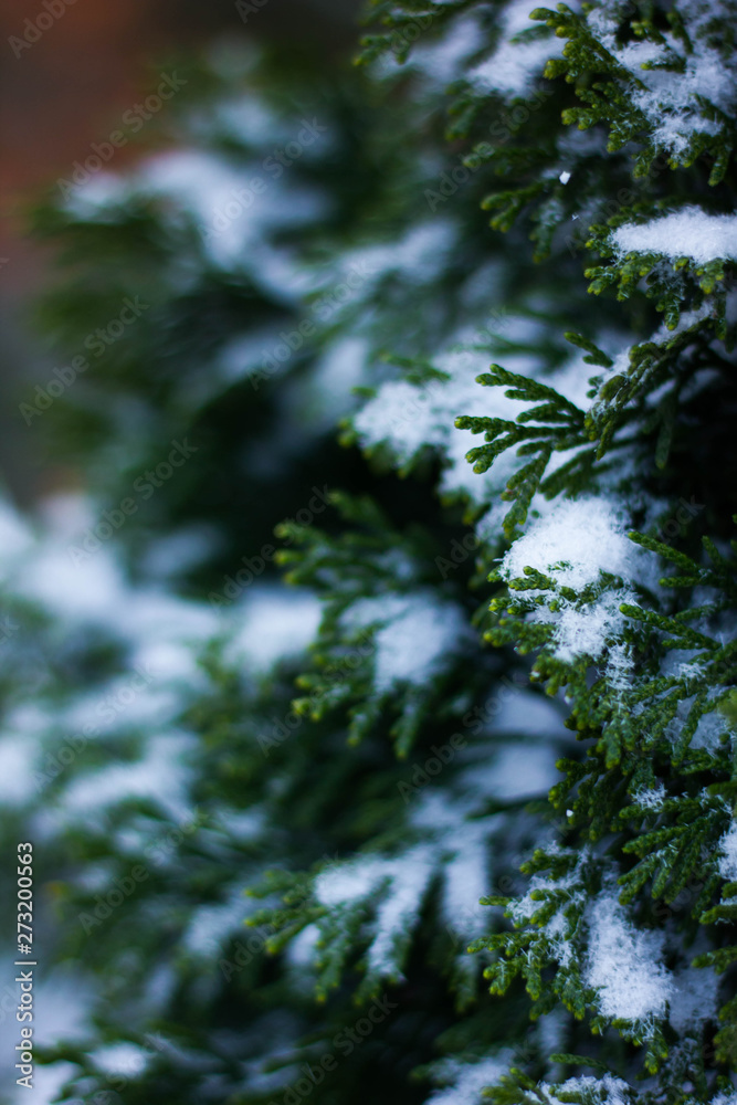 green forest background green forest background