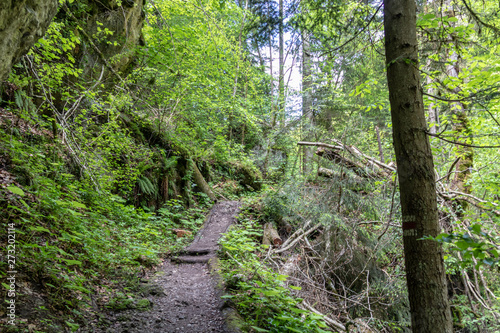 B  rser Schlucht  Vorarlberg  Austria - the most beautiful landscapes in the Alps with an almost primeval forest-like tree population and wild river runs.