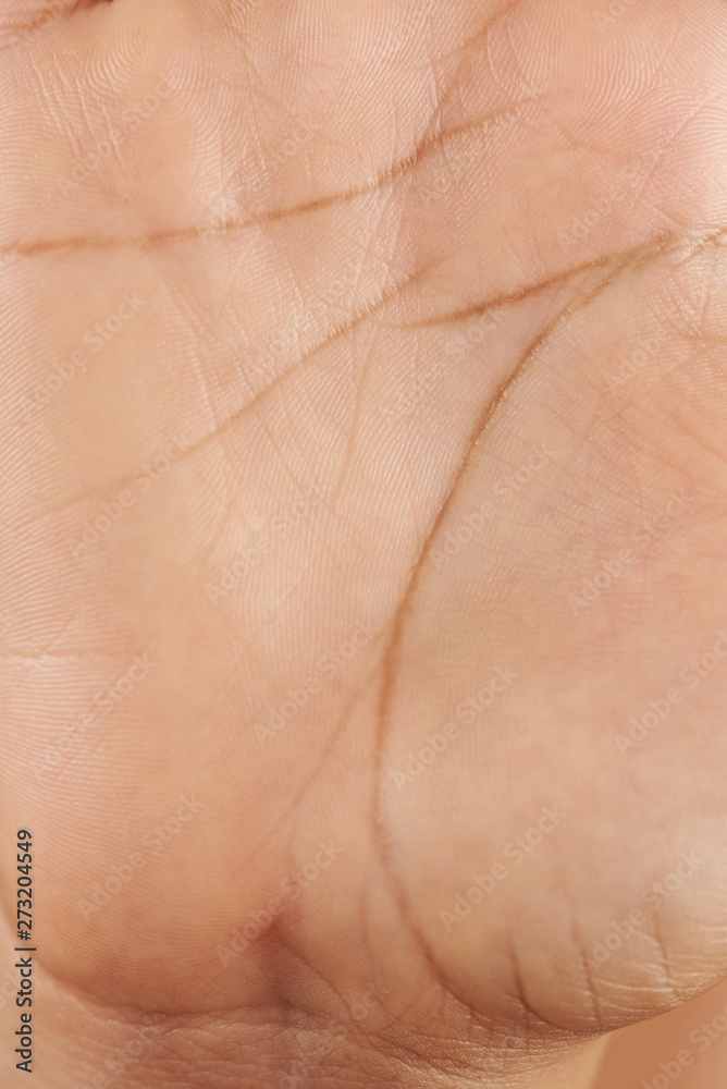 Woman palm hand skin texture Woman palm hand skin texture