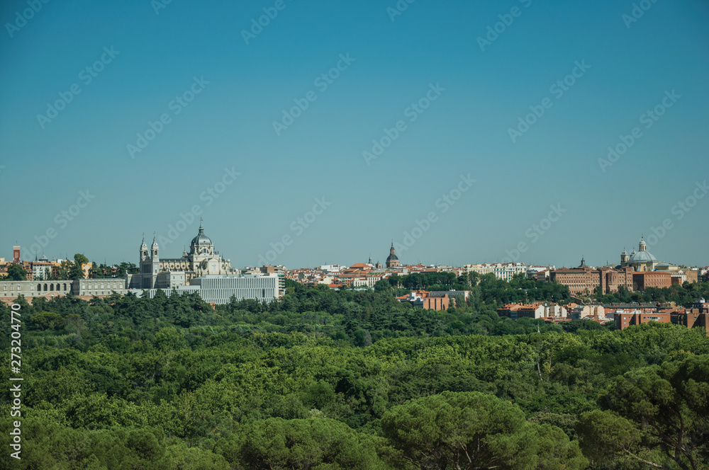 Royal Palace and Almudena Cathedral with trees in Madrid