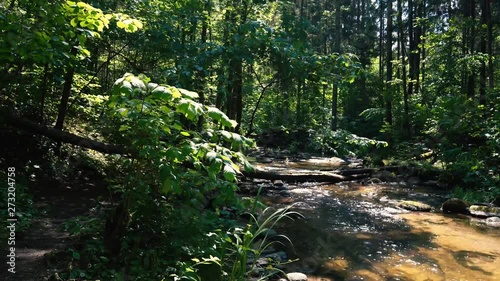 4K Little river in the forest on a sunny day. photo