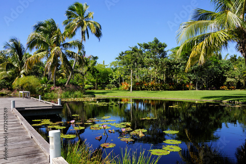 Naples, Florida, United States botanical garden with water feature pond decorative walkway with tropical palm trees and water lillies    photo