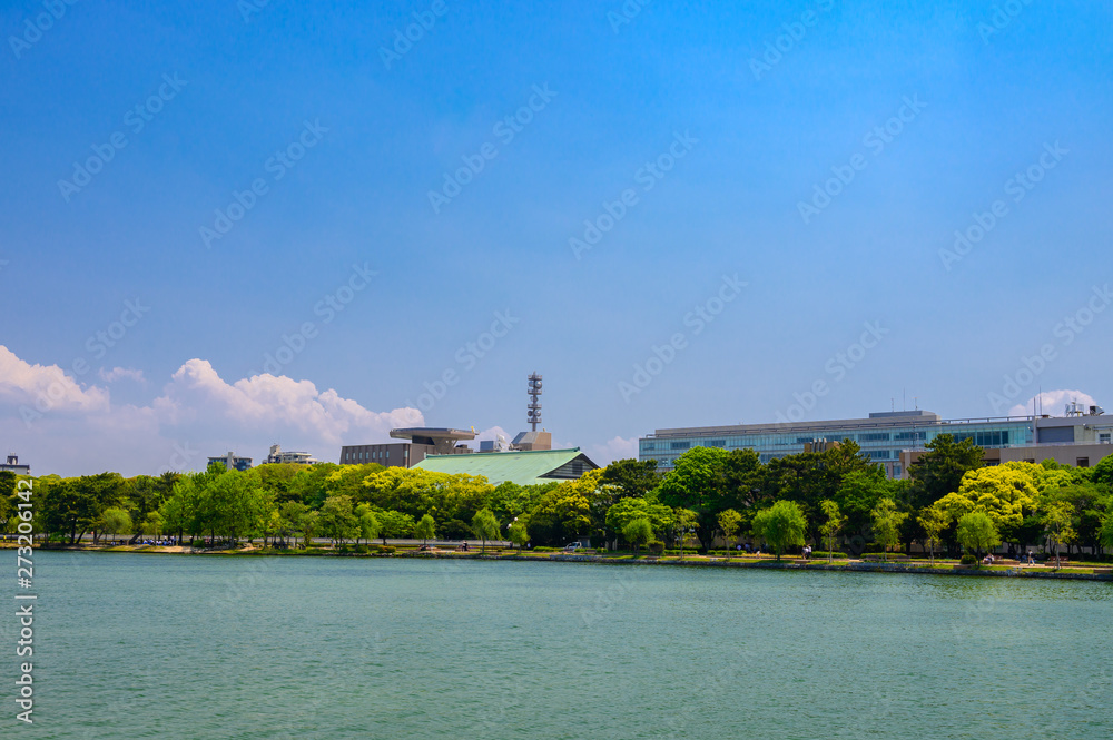 Fototapeta premium 初夏の大濠公園