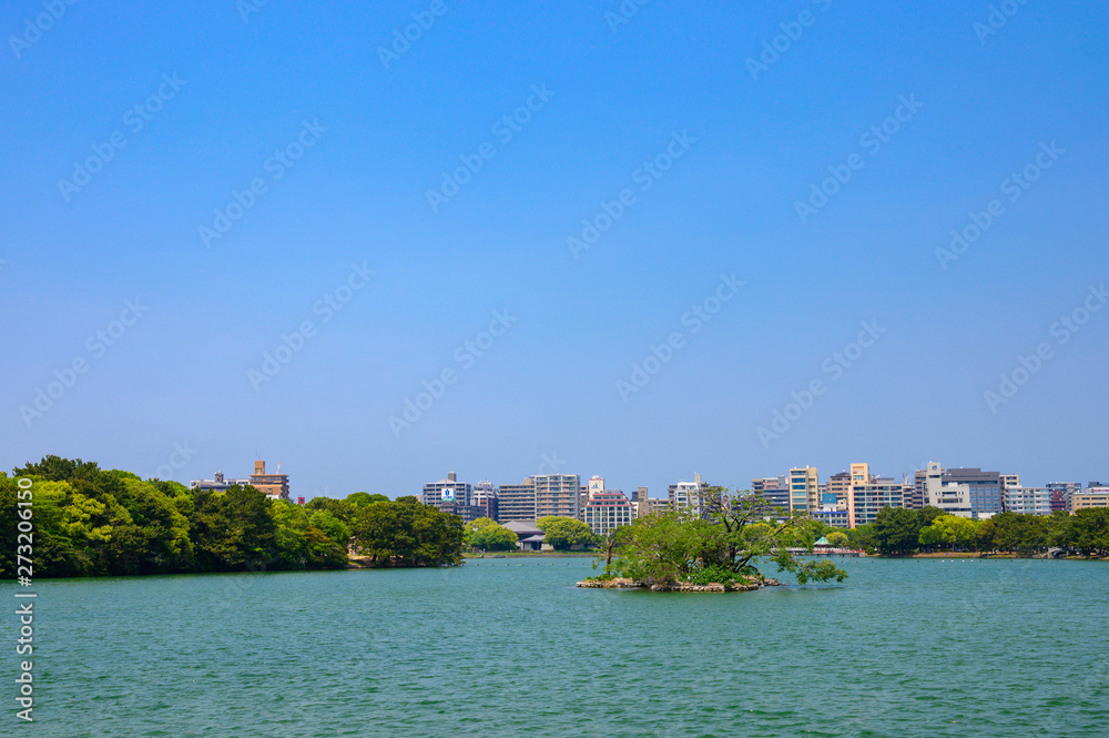 Obraz premium 初夏の大濠公園