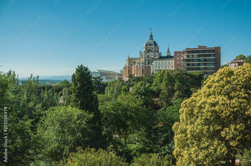 Almudena Cathedral Dome amidst trees and dwellings in Madrid