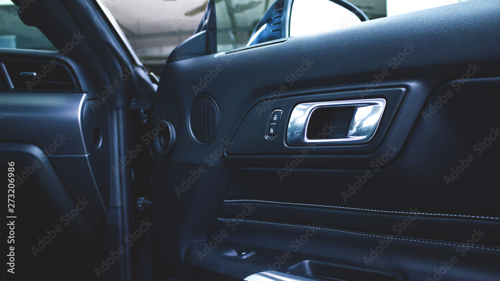 Naklejka premium Car interior - doors