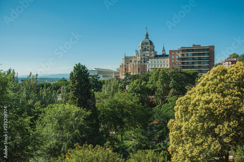 Almudena Cathedral Dome amidst trees and dwellings in Madrid