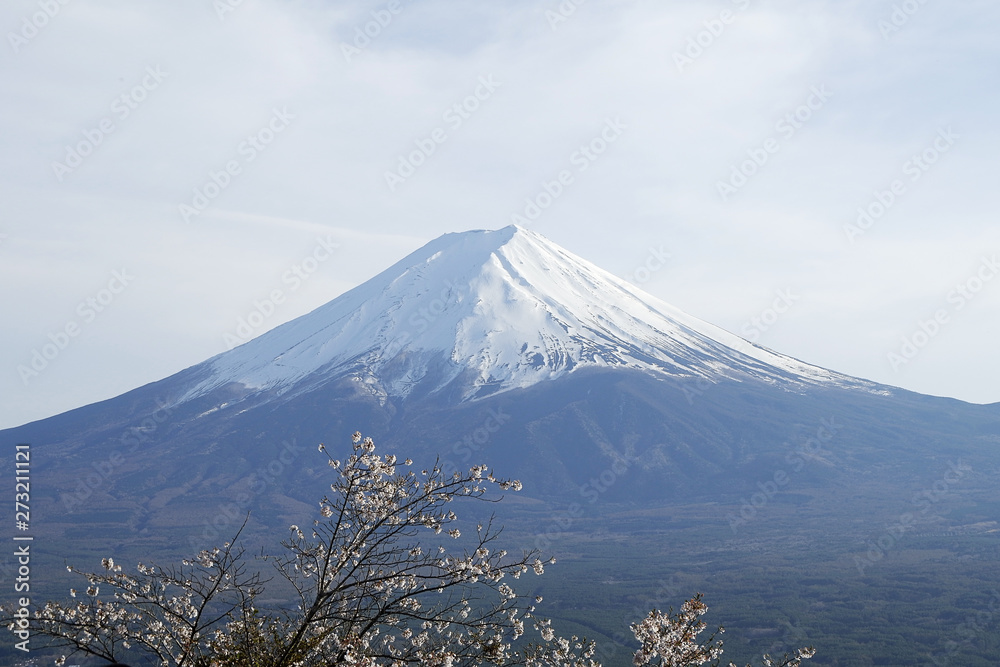 Close up top of beautiful Fuji mountain with snow cover on the top with could, Japan

