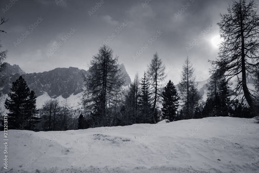 Fototapeta premium dramatic black and white foggy snowcapped peaks mountain range in dolomites in wintertime, giau pass, italy