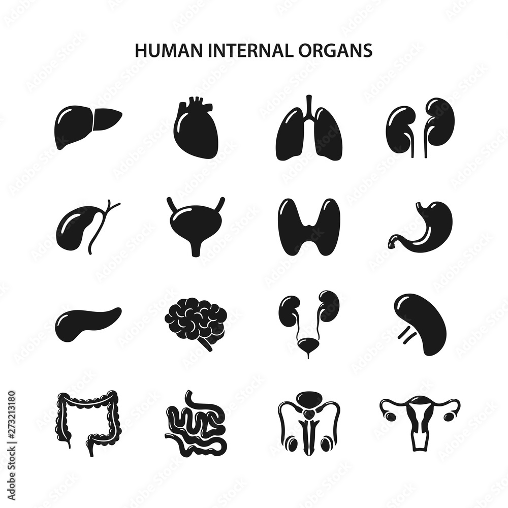 Set of black icons of human internal organs in flat style Stock Vector ...